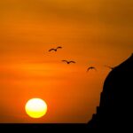  Imam Abu Hanifa: Pioneer of Islamic Jurisprudence